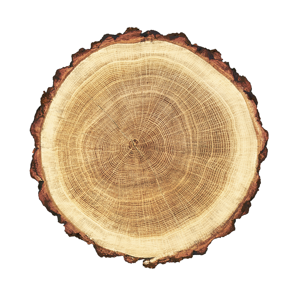 product_03 https://rawart-eg.com/wp-content/uploads/2017/05/product_03.png